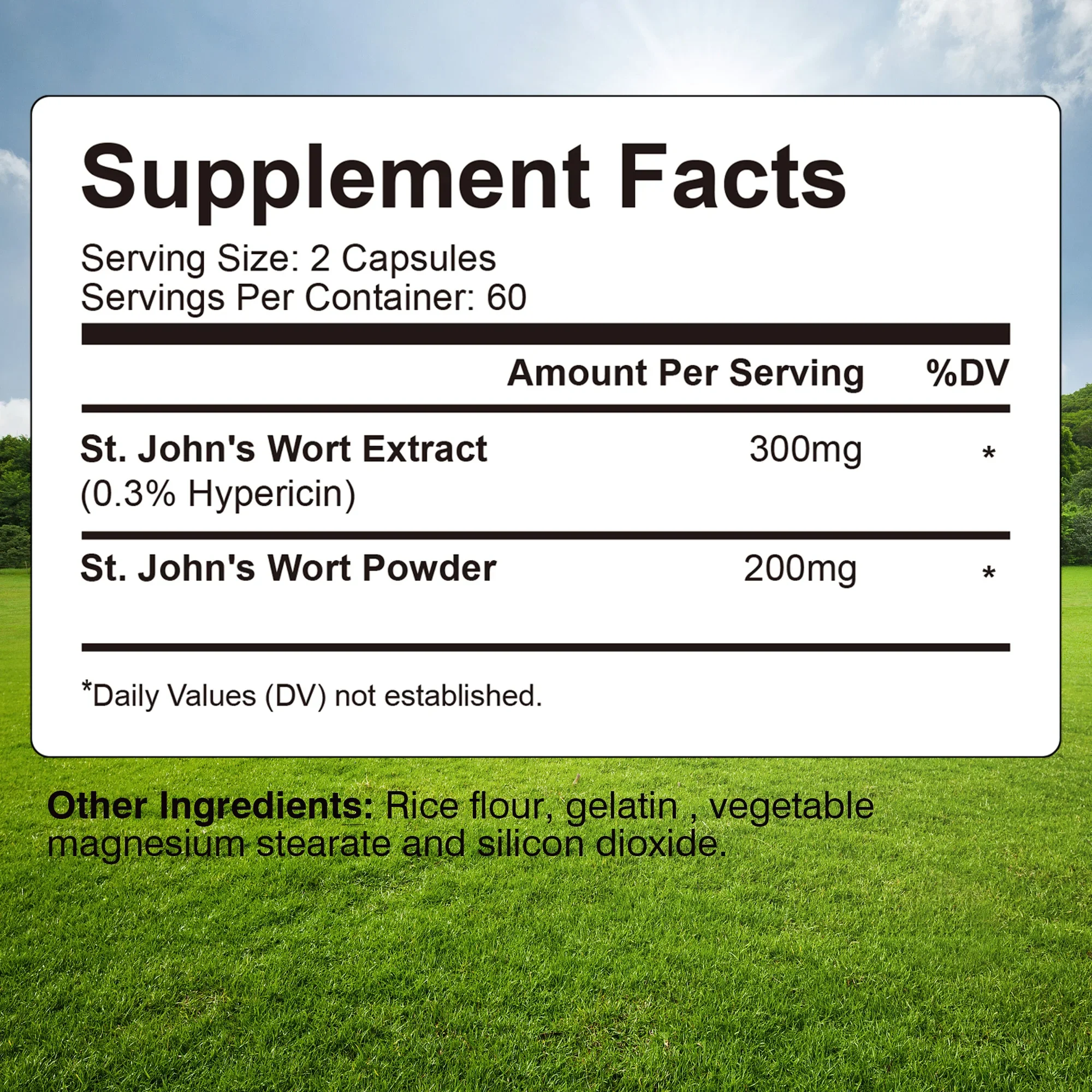 St. John's Wort Extract - Supp - огляд і ціна Health And Wellness Promotion