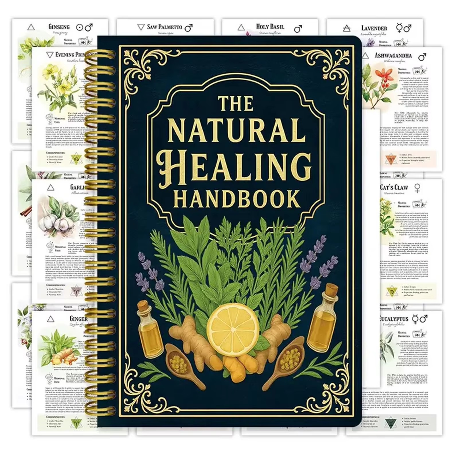 Healing Handbook By Luna Filby - огляд і ціна Health & Wellness Nurse Coach
