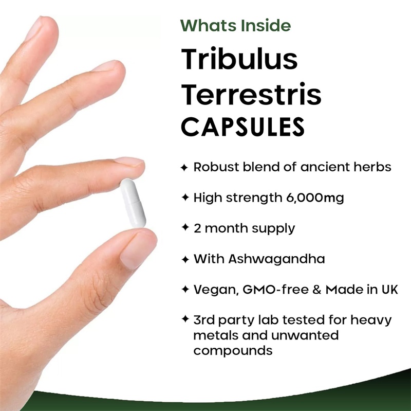 Tribulus Terrestris 6000MG - S - огляд і ціна Health And Wellness Promotion